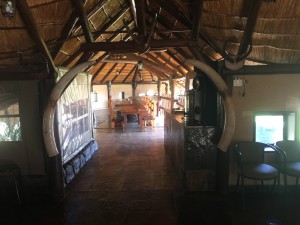 IMG_0426   